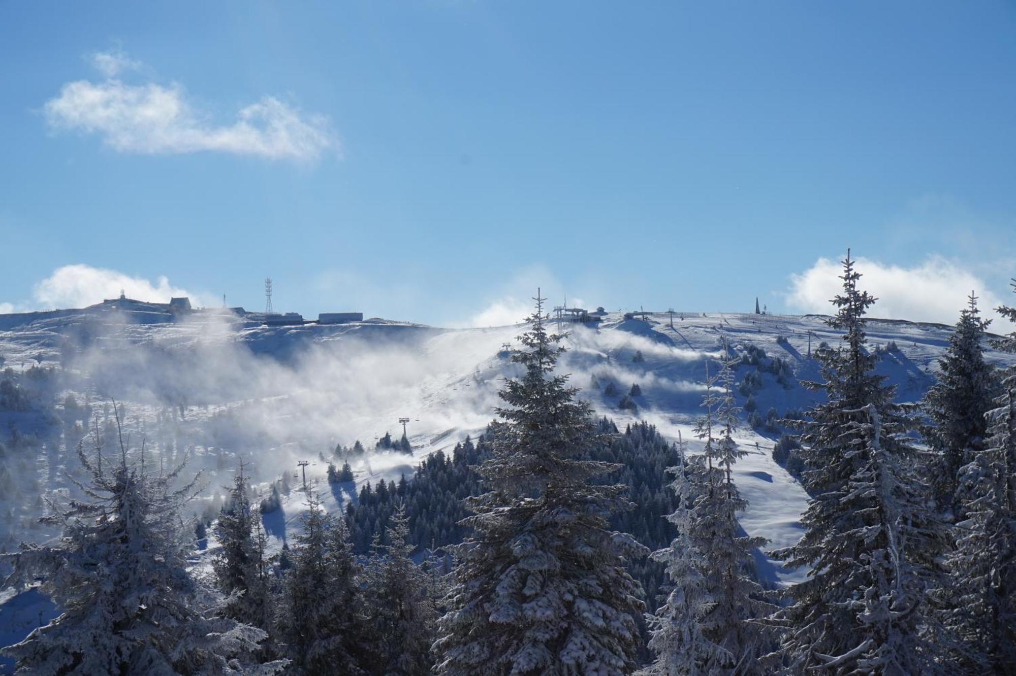 Apartmani Kraljevi Cardaci Kopaonik Kültér fotó